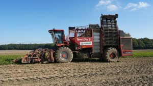 Tax-loss harvesting strategy explained, financial advisor secrets.