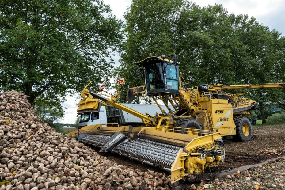 Tax-loss harvesting strategy explained for investors.